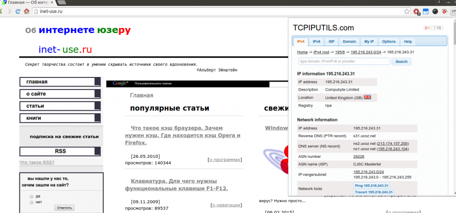 Как узнать ip домена или сайта
